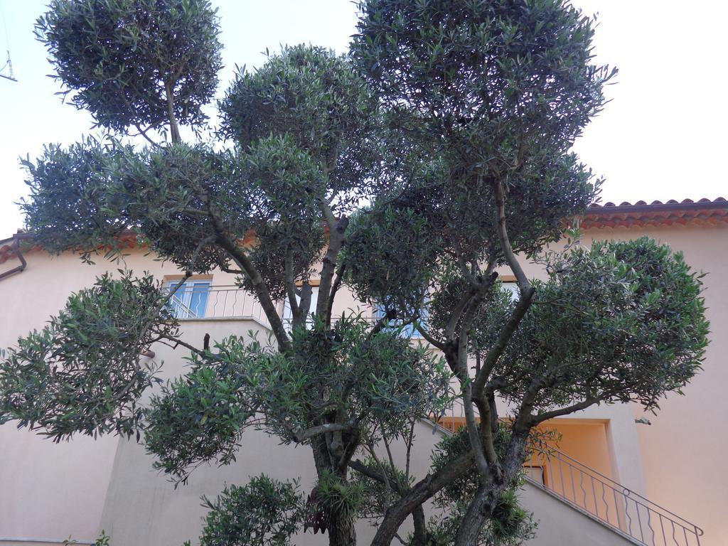 Appartement Villa Angelina Grimaud Eksteriør bilde